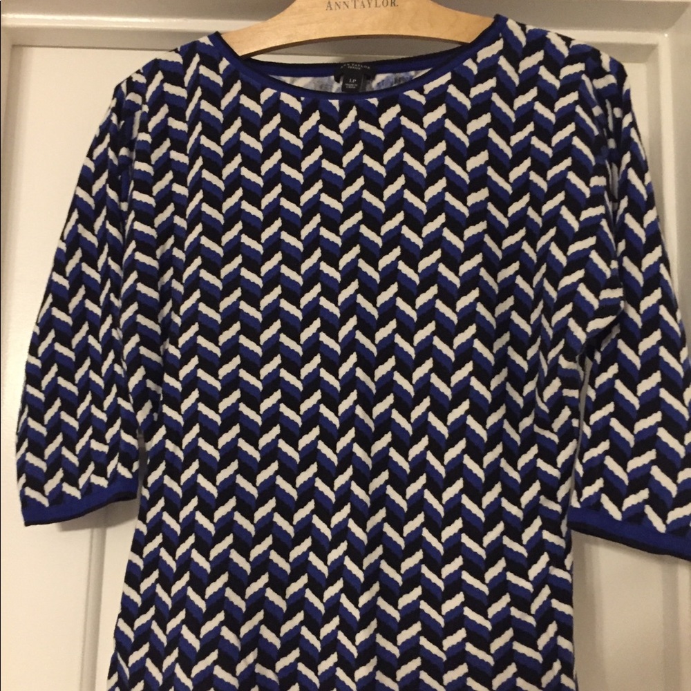 Ann Taylor Petite Large 3/4 length sweater